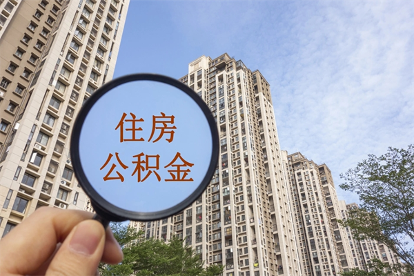肥城离职可以取出公积金吗（离职可以取公积金嘛）